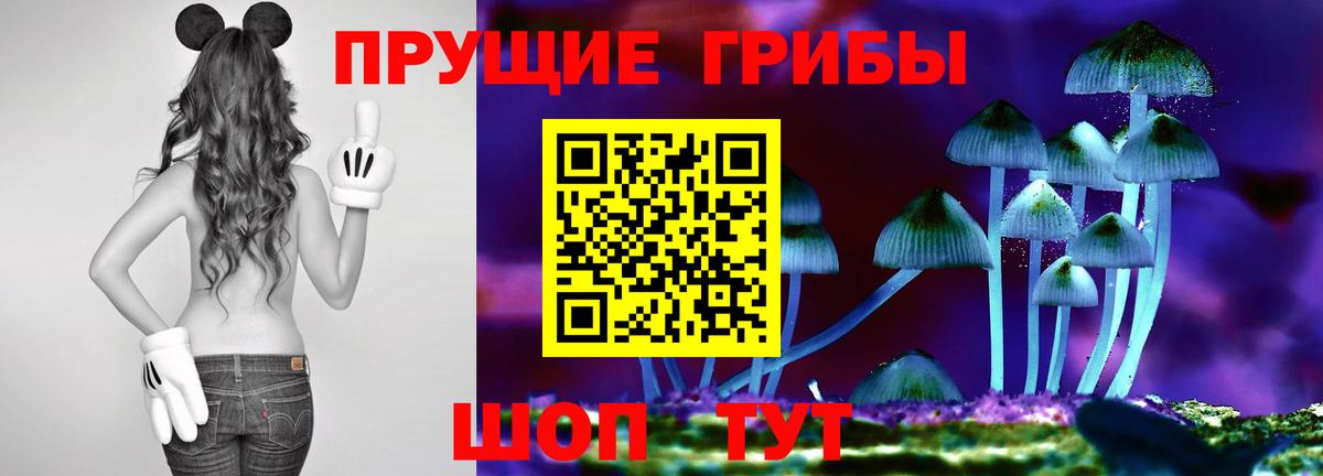 Галлюциногенные грибы Psilocybe Рязань